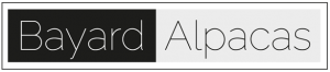 Bayard-Alpacas